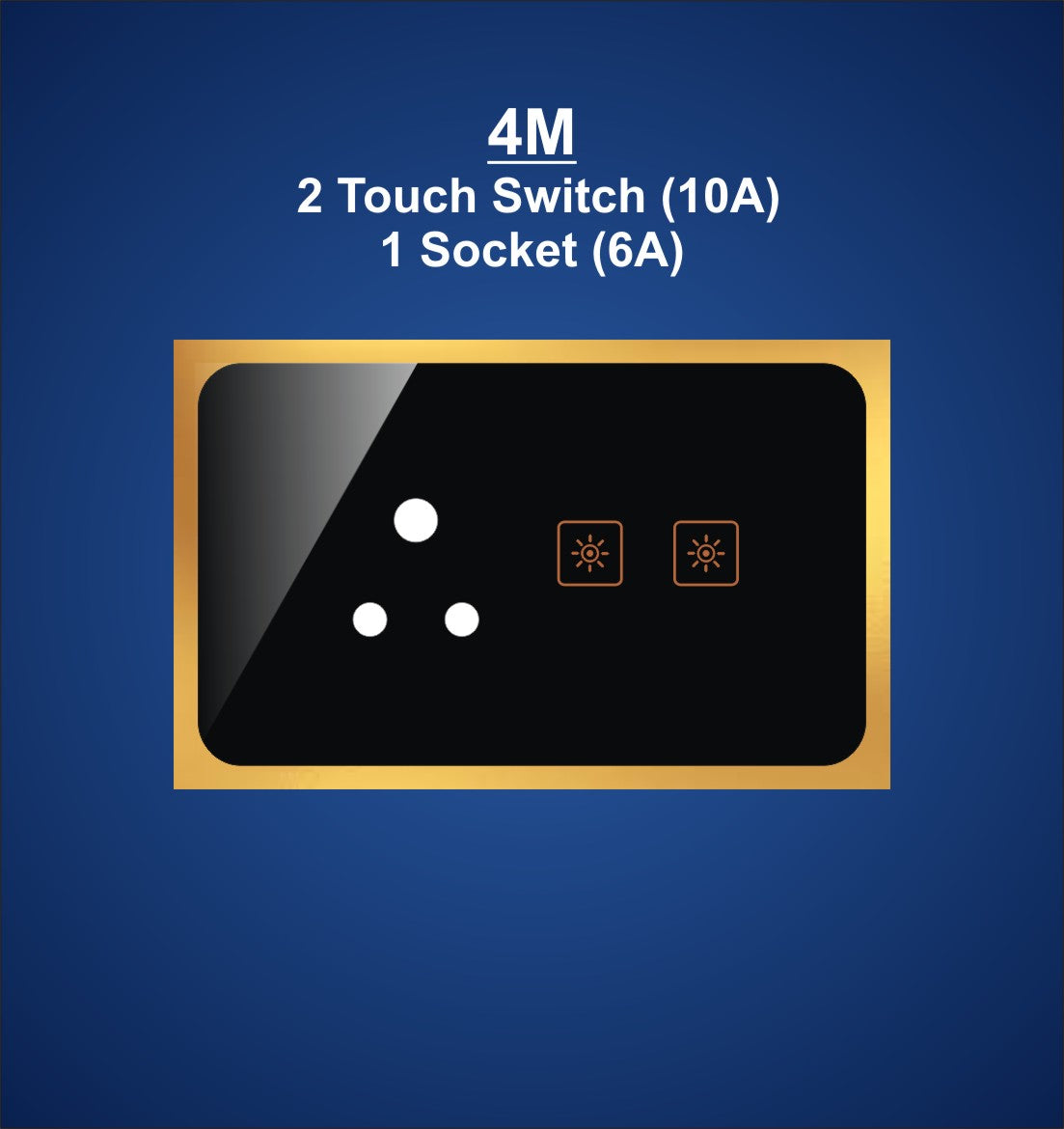 4M Plate with 1 Socket(6A)  & 2 Switch (10A)