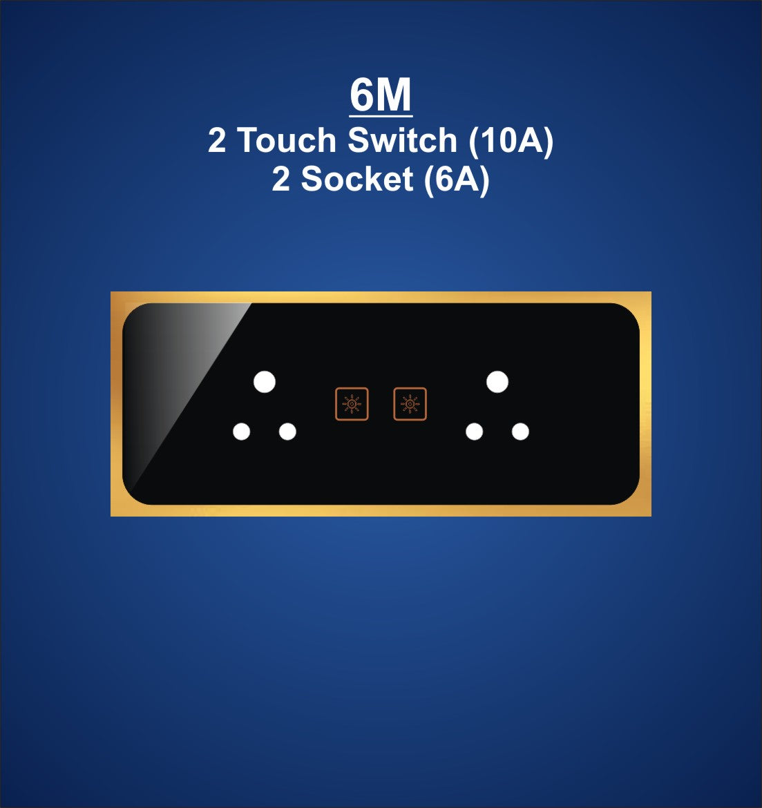 6M Plate with 2 Socket (6A) & 2 Switch (10A)