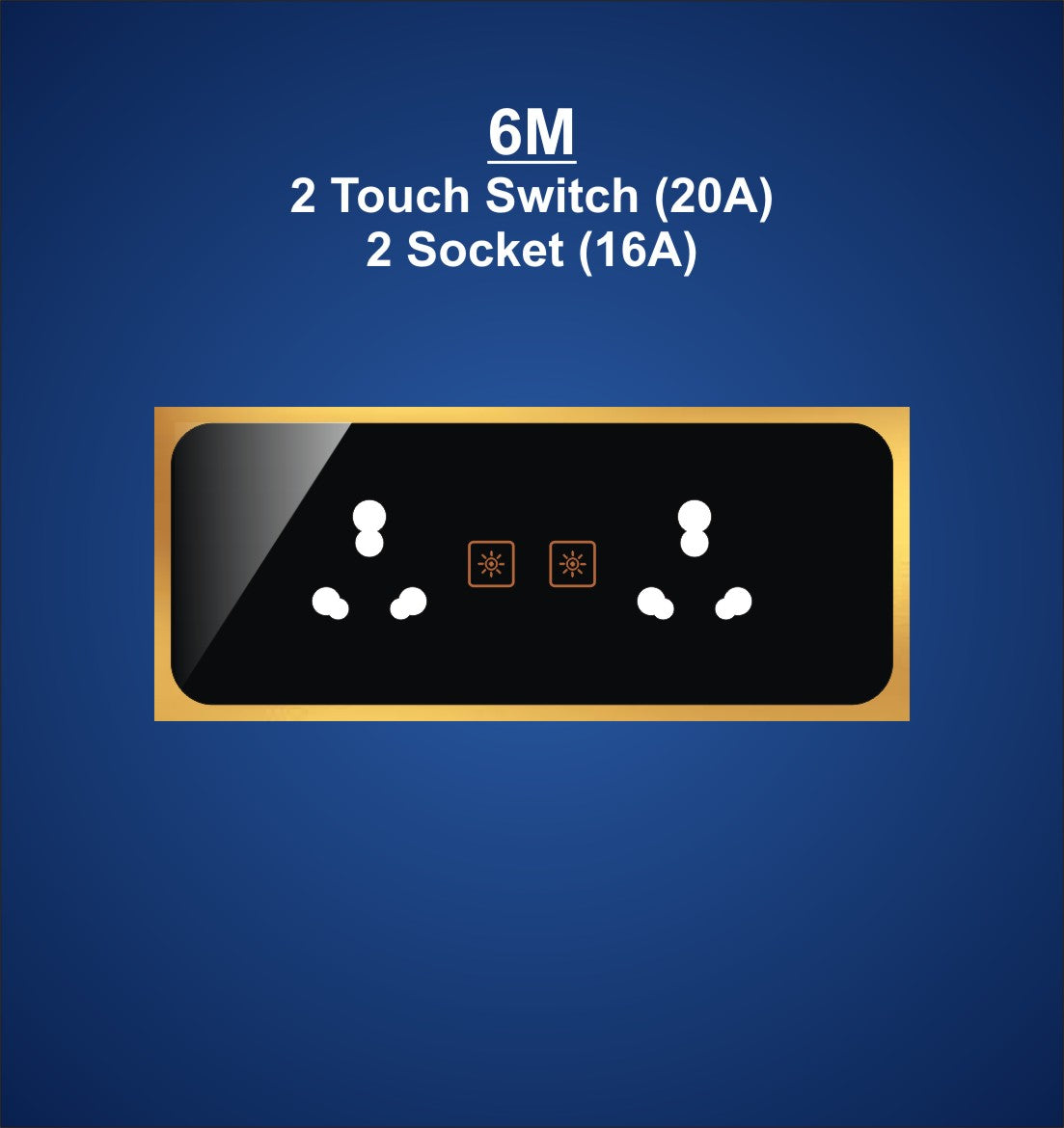 6M Plate with 2 Socket (16A) & 2 Switch (10A)