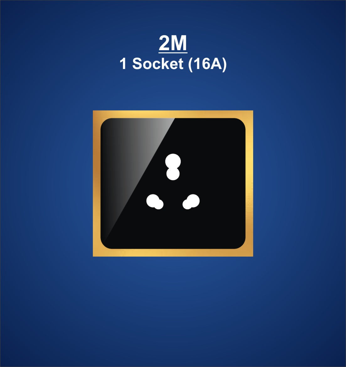 2M Plate With 1 Socket 16A